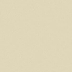 S224B BEIGE