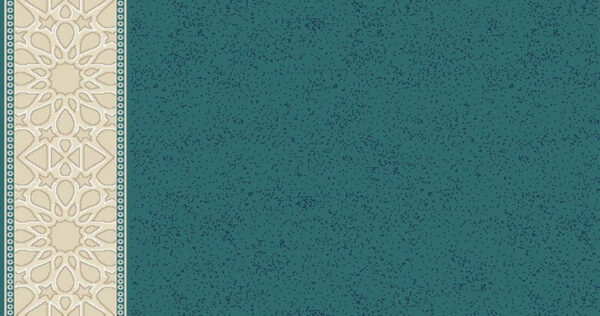 S224B BLUE