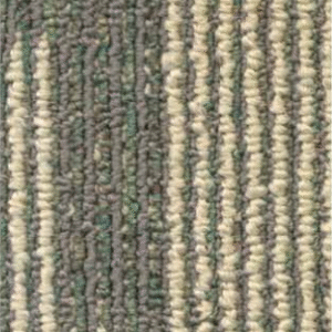 Savanna 568