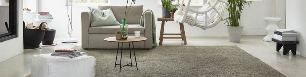 Stylish Living Room Carpets