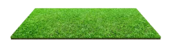 Luxury Green Carpets
